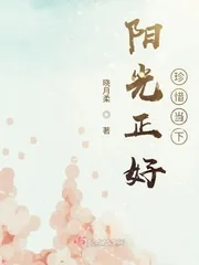 《阳光正好,珍惜当下》小说封面