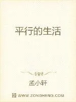 《平行的生活》封面