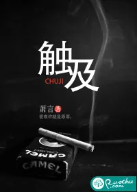 《触及》封面