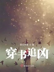 《穿书追凶》封面