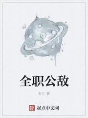 《全职公敌》封面