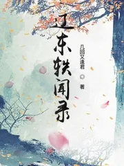 《辽东轶闻录》封面