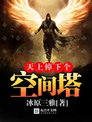 《天上掉下个空间塔》封面