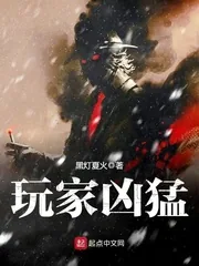 《玩家凶猛》小说封面