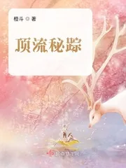 《顶流秘踪》封面