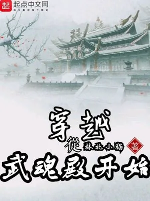 《穿越从武魂殿开始》封面