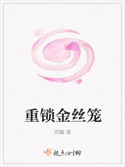 《重锁金丝笼》封面
