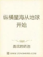 《纵横星海从地球开始》小说封面
