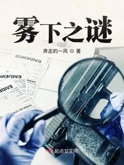 《雾下之谜》封面