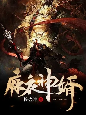 《麻衣神婿》封面