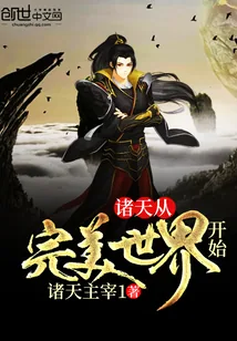 《诸天从完美世界开始》封面