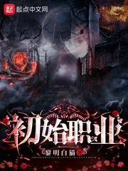 《初始职业》封面