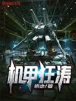 《机甲狂涛》封面