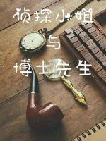 《侦探小姐与博士先生》封面