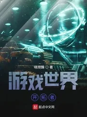 《游戏世界开拓者》封面