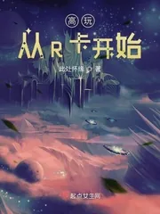 《高玩从R卡开始》封面