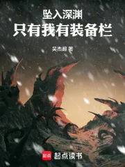 《坠入深渊：只有我有装备栏》小说封面