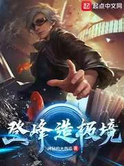 《登峰造极境》封面