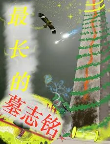 《最长的墓志铭》小说封面