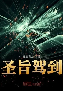 《圣旨驾到》小说封面