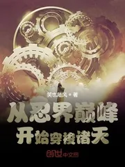 《从忍界巅峰开始穿梭诸天》封面