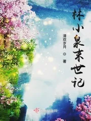 《林小泉末世记》小说封面