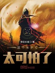 《这个NPC太可怕了》封面