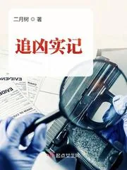 《追凶实记》封面