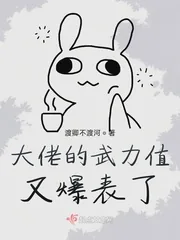 《大佬的武力值又爆表了》封面