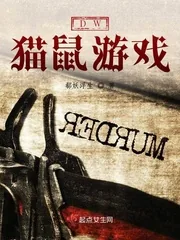 《DW猫鼠游戏》封面
