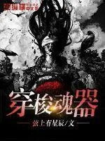 《穿梭魂器》小说封面