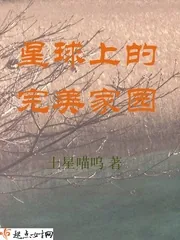 《星球上的完美家园》封面