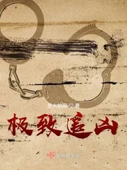 《极致追凶》封面