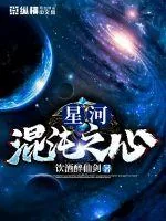《星河混沌之心》封面