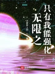 《无限之只有我能强化》封面