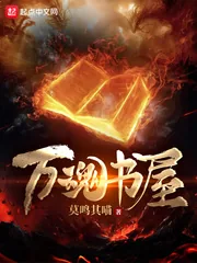 《万魂书屋》封面