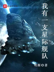 《我有一支星际舰队》封面
