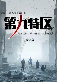 《第九特区》小说封面
