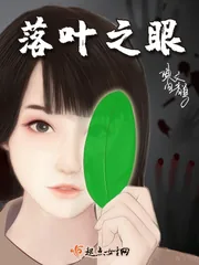 《落叶之眼》封面