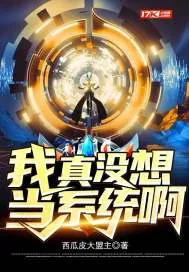 《我真没想当系统啊》封面