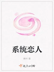 《系统恋人》封面