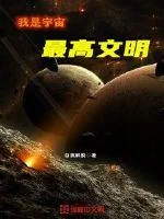 《我是宇宙最高文明》封面