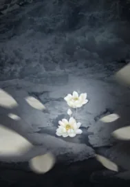 《濯莲与白虎》封面