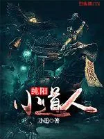 《纯阳小道人》封面