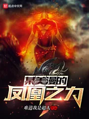 《某美漫的凤凰之力》封面