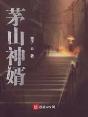 《茅山神婿》小说封面