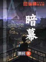 《暗幕》小说封面