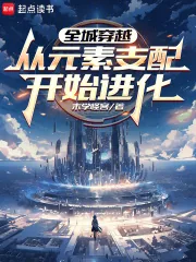 《全城穿越:从元素支配开始进化》小说封面