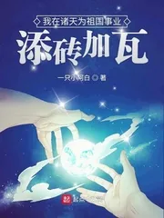《我在诸天为祖国事业添砖加瓦》封面