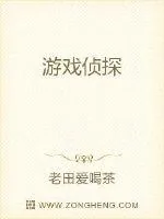 《游戏侦探》封面
